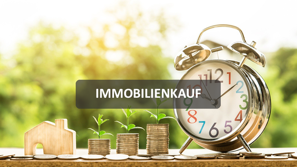 Immobilienkauf_neu